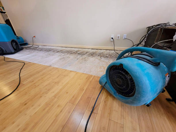 Reliable Burst Pipe Water Damage contractor in New Bedford, MA by Hirex Water Damage