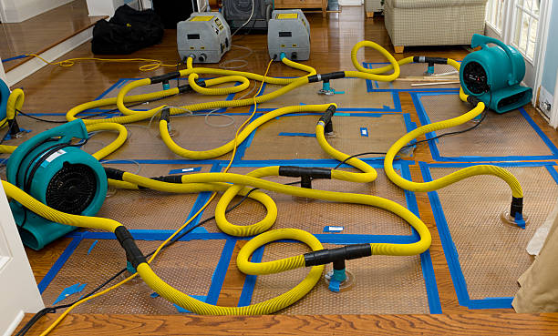 Professional Burst Pipe Water Damage technician working in New Bedford, MA